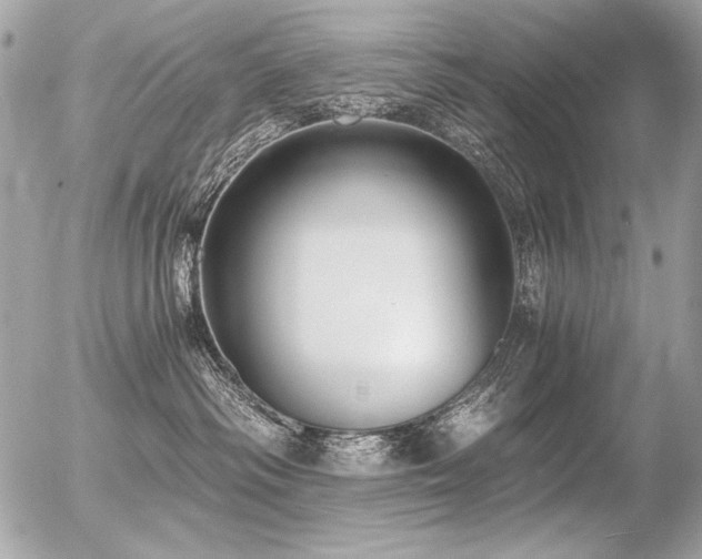 X0000056360334200508261344