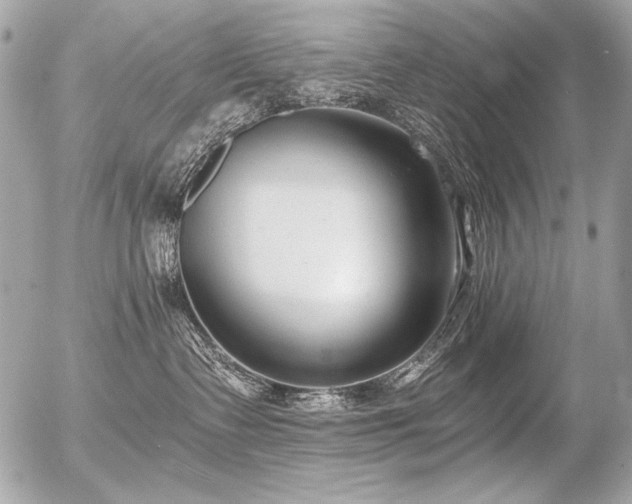 X0000056360335200508261343