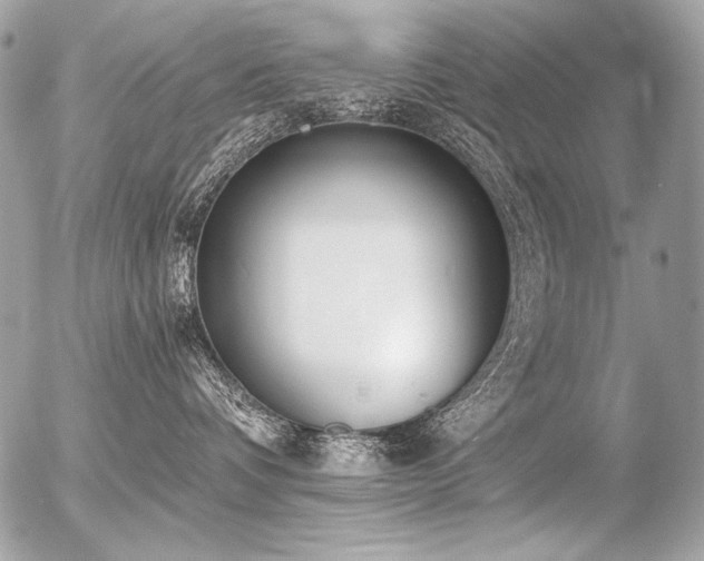 X0000056360336200508261343