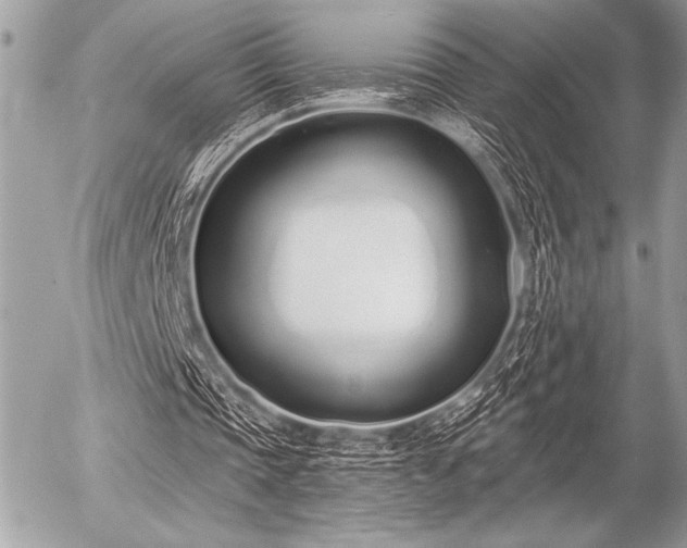 X0000056360337200508261343