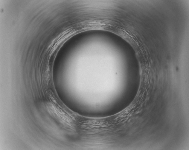 X0000056360338200508261343