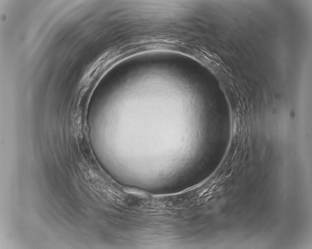 X0000056360339200508261343