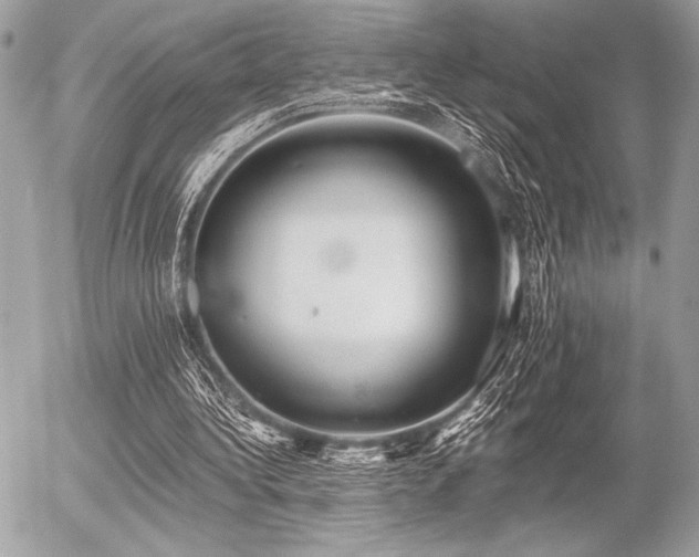 X0000056360340200508261343