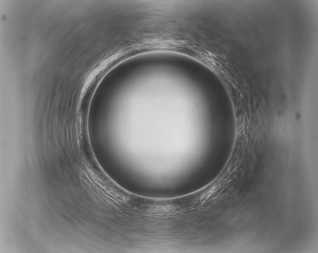 X0000056360342200508261343