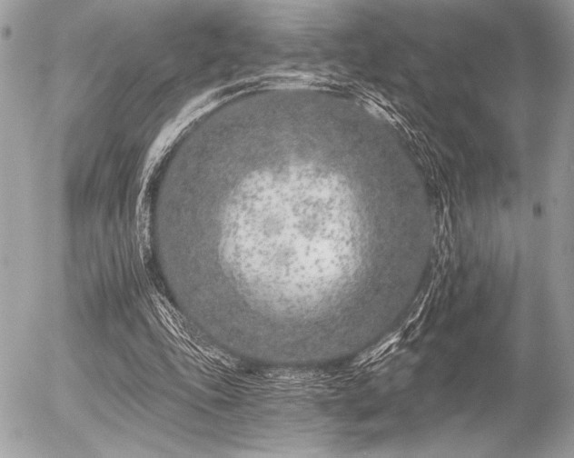 X0000056360343200508261343