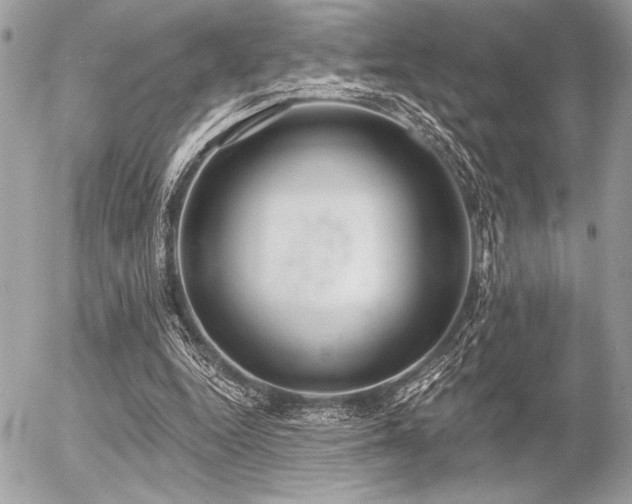 X0000056360344200508261343