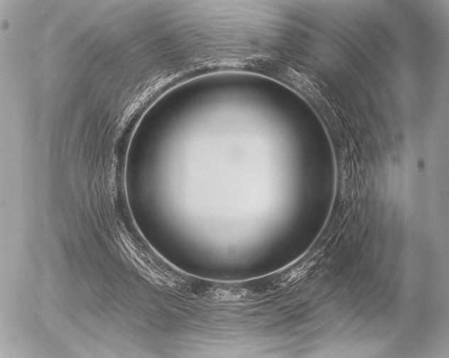 X0000056360346200508261343