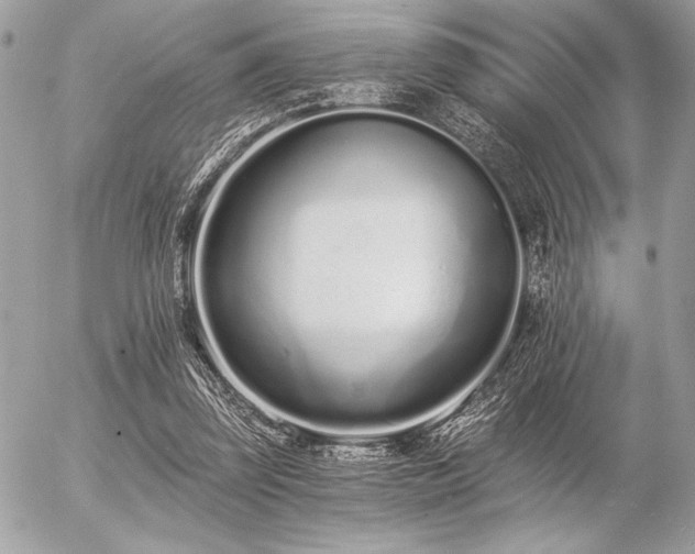 X0000056360347200508261343