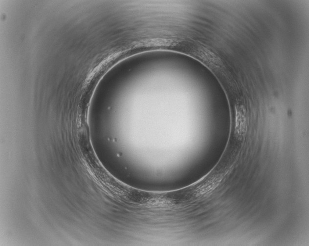 X0000056360348200508261343