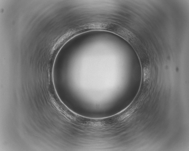 X0000056360349200508261343