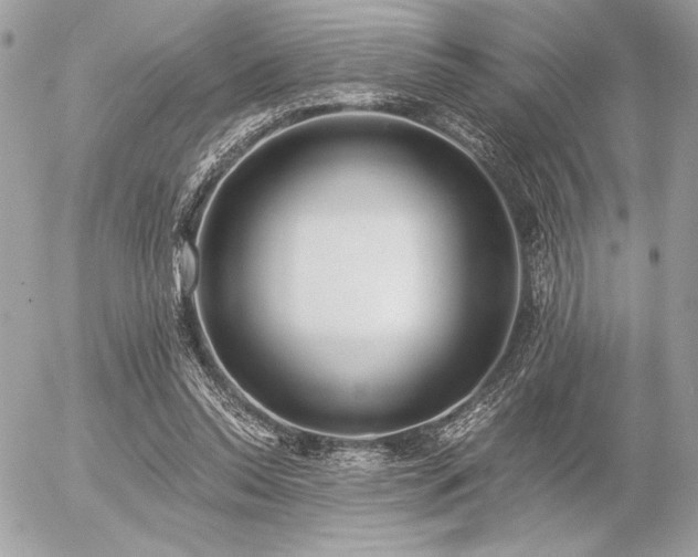 X0000056360350200508261343