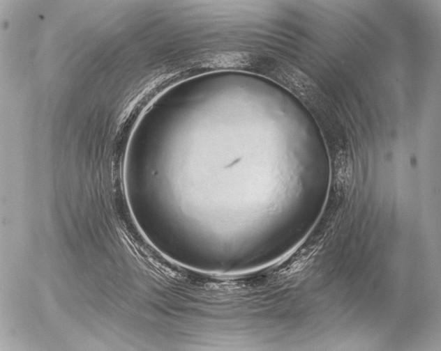 X0000056360351200508261343