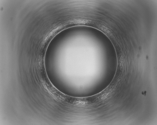 X0000056360352200508261343