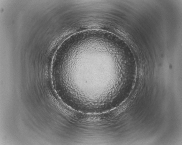 X0000056360353200508261343