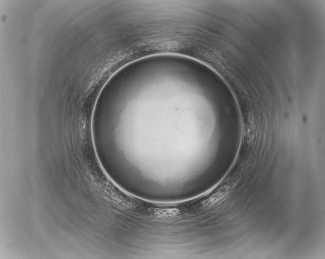 X0000056360355200508261343