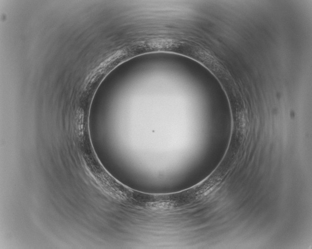 X0000056360356200508261343