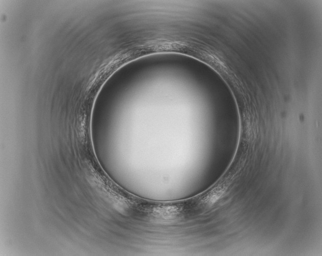 X0000056360357200508261343