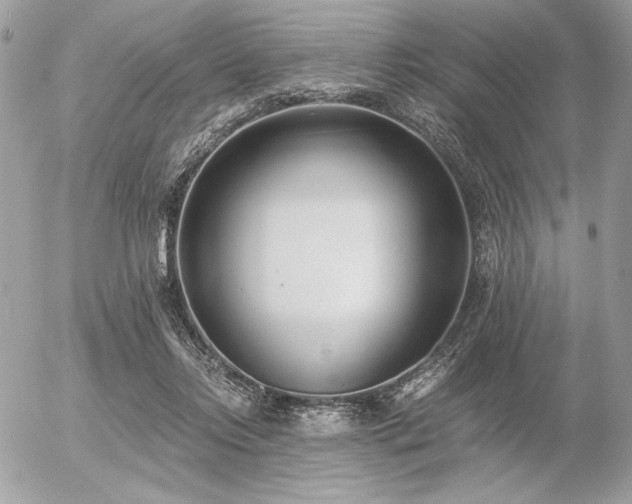 X0000056360358200508261343