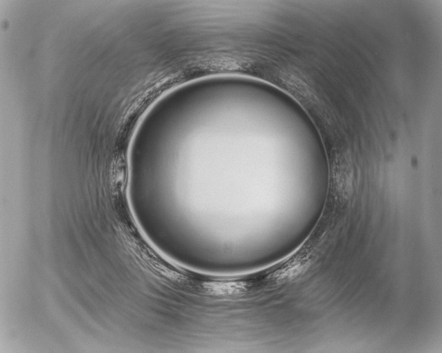 X0000056360359200508261343