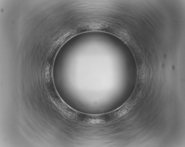 X0000056360360200508261343