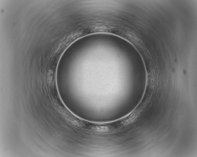 X0000056360361200508261343