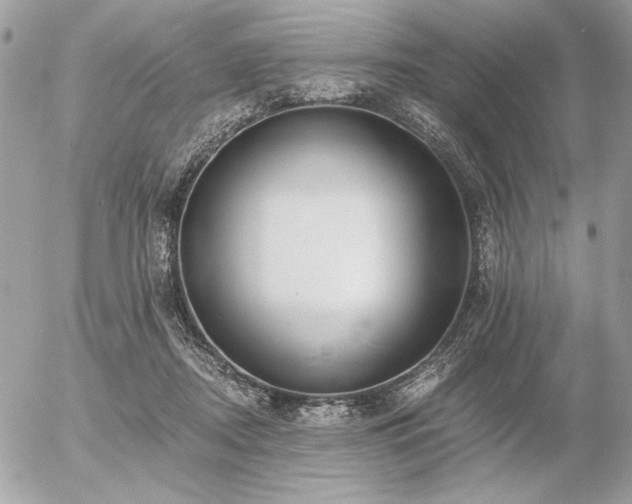 X0000056360362200508261343