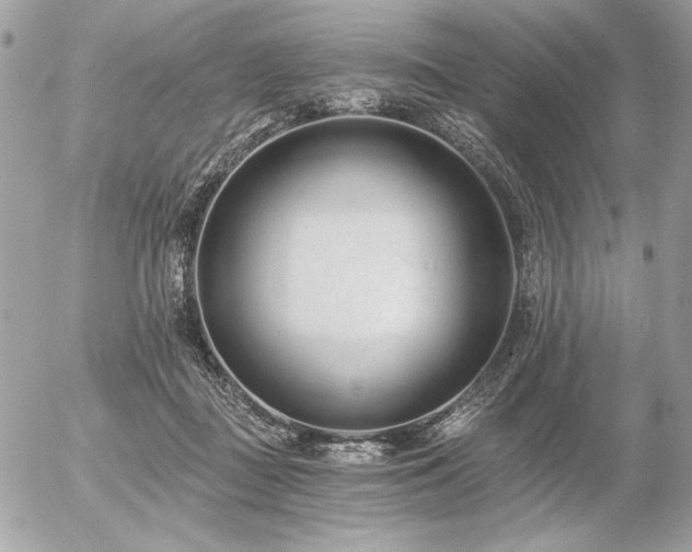 X0000056360363200508261343