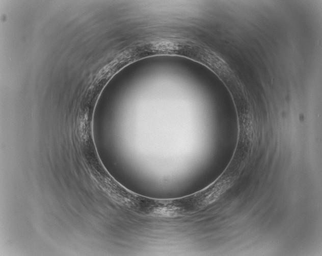 X0000056360364200508261343