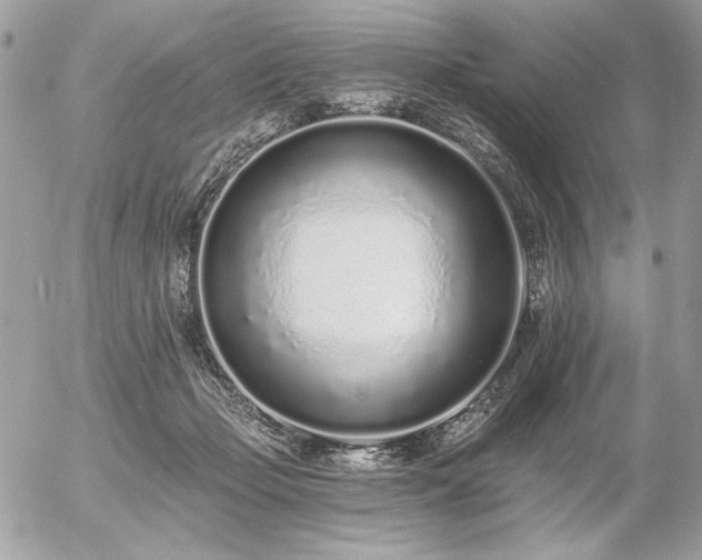 X0000056360365200508261343