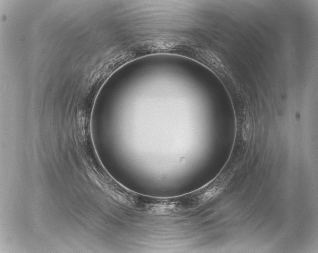 X0000056360366200508261343