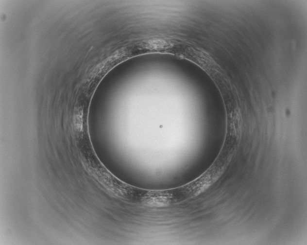 X0000056360368200508261343