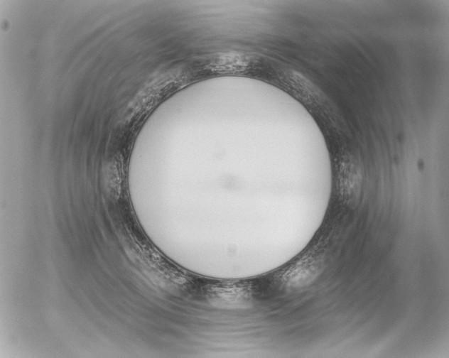 X0000056360370200508261343