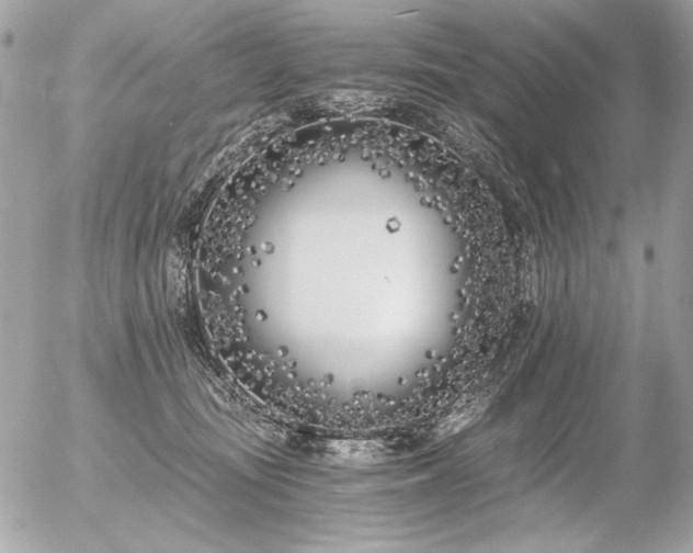 X0000056360371200508261343