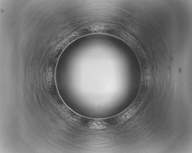 X0000056360372200508261343