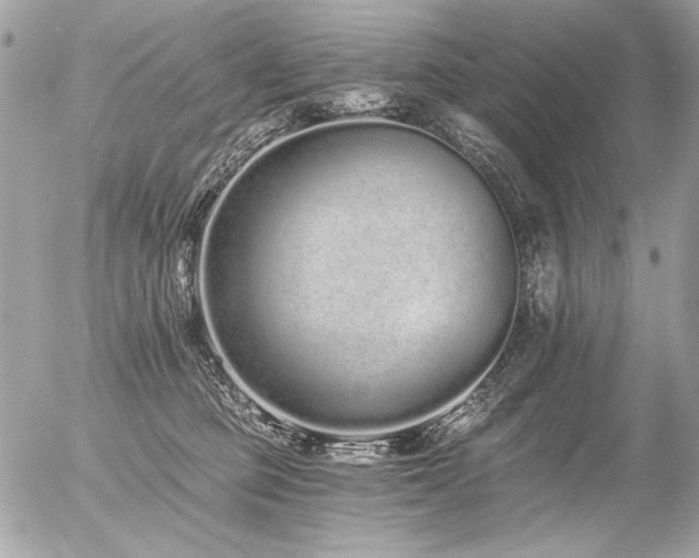 X0000056360373200508261343