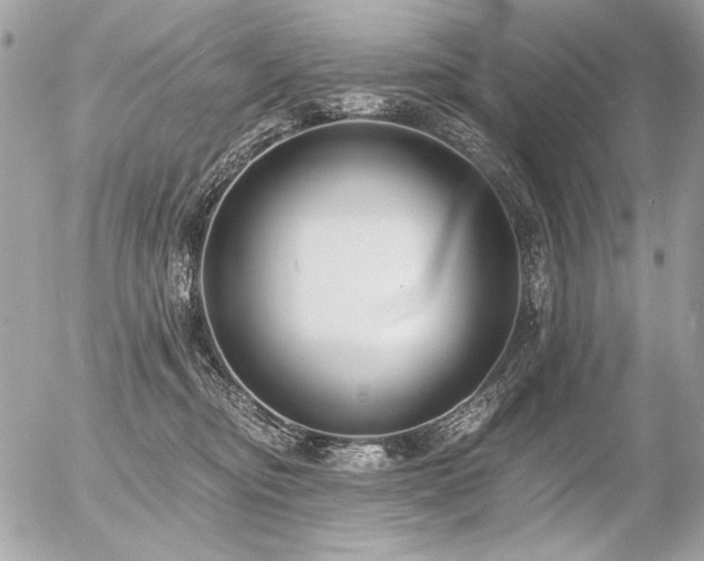 X0000056360374200508261343