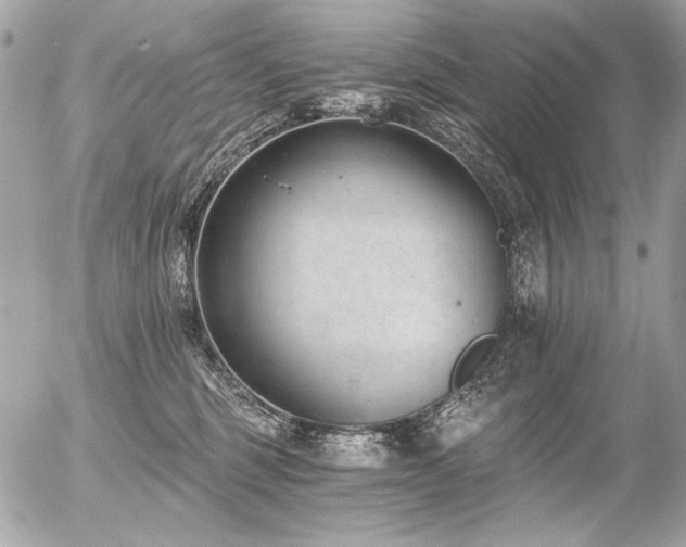 X0000056360375200508261343