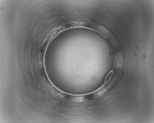 X0000056360377200508261343