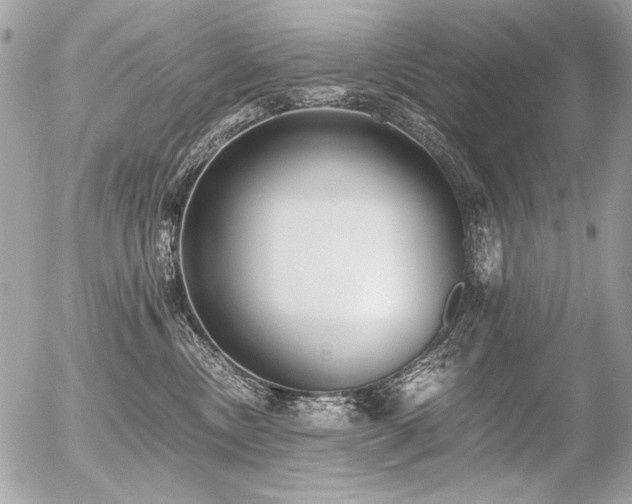 X0000056360378200508261343