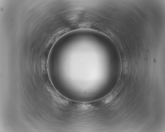 X0000056360379200508261343