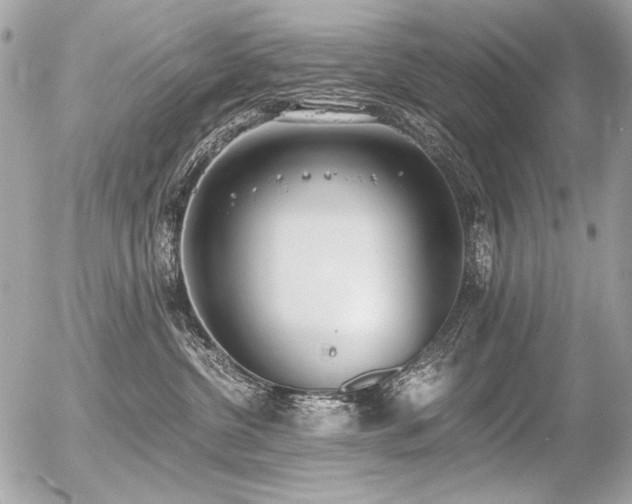 X0000056360380200508261343