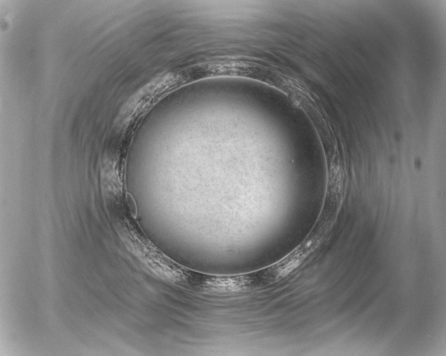 X0000056360381200508261343