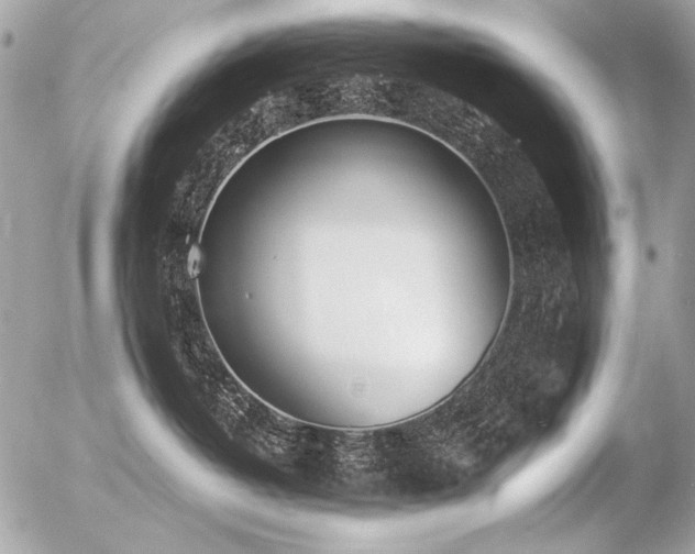 X0000056360382200508261343