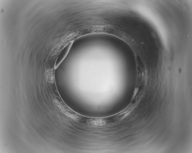 X0000056360383200508261343