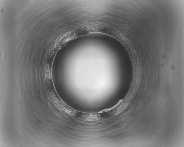 X0000056360384200508261343