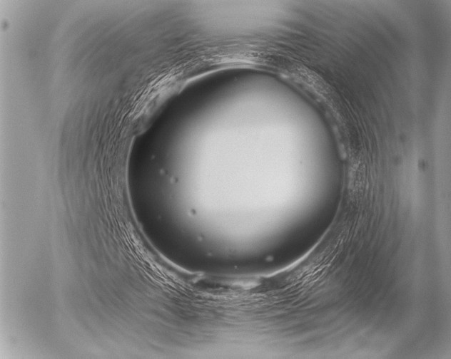 X0000056360385200508261343