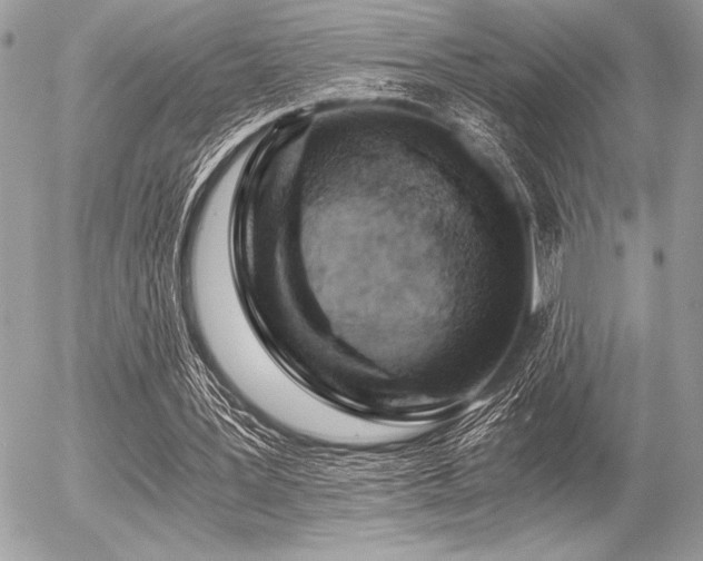 X0000056360387200508261343