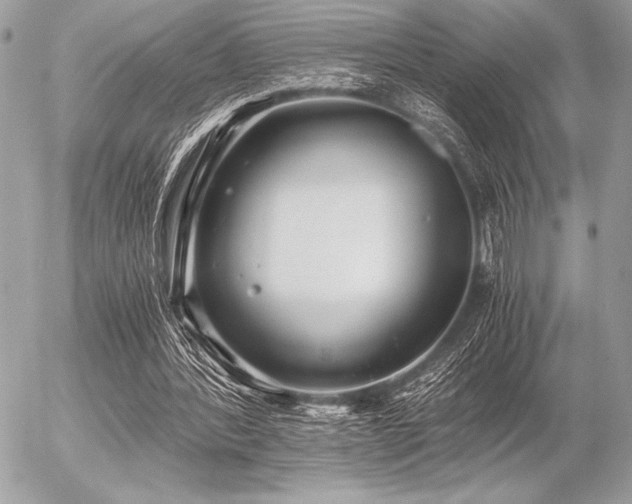 X0000056360388200508261343