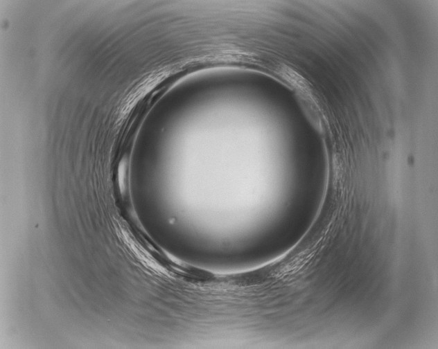 X0000056360389200508261343