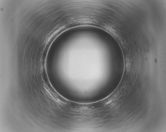 X0000056360390200508261343